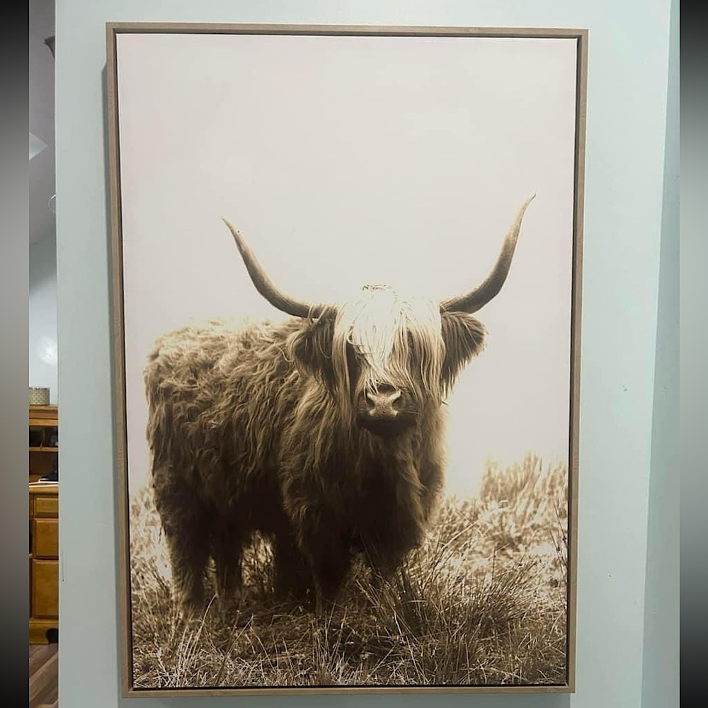 Cow canvas